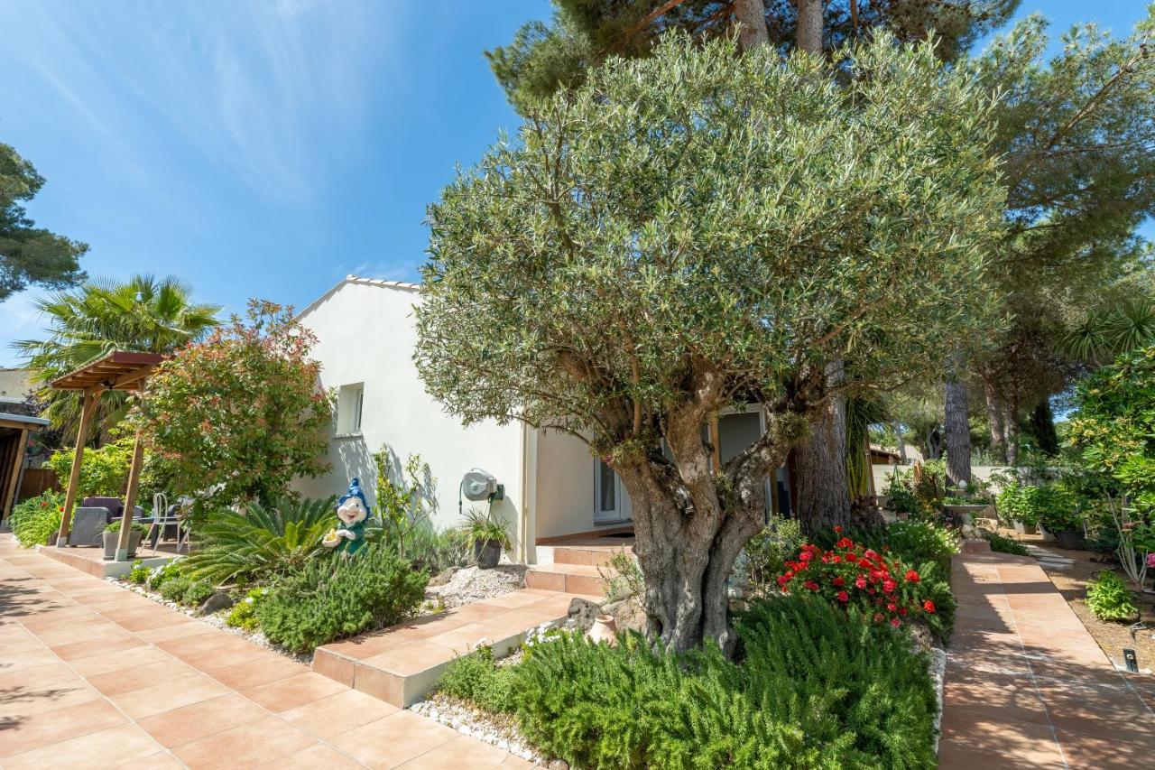 La Villa de l'Olivier Agde Extérieur photo